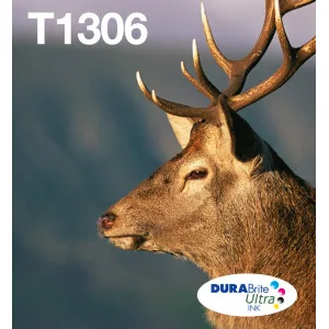 Epson Multipack 3-COLOURS T1306 Durabrite