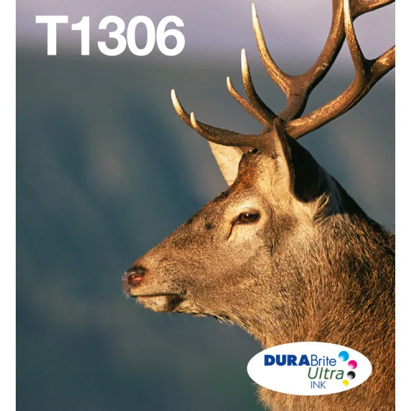 Epson Multipack 3-COLOURS T1306 Durabrite