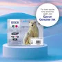 Epson Cyan 26XL Claria Ink