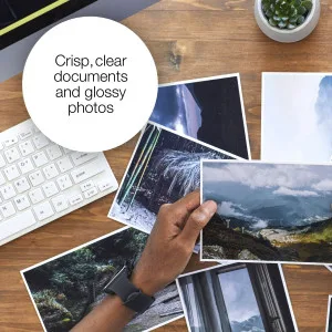 Epson Black 29XL Claria Home Ink
