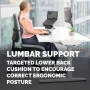 Fellowes Breyta Lumbar Cushion Fellowes Breyta Lumbar Cushion