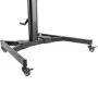 Fellowes Mobile TV Stand