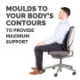 Fellowes Mesh Back Support Fellowes Mesh Back Support