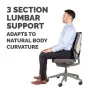 Fellowes Ultimate Back Support Fellowes Ultimate Back Support