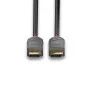Lindy 0.5m Displayport Cable Anthra Line