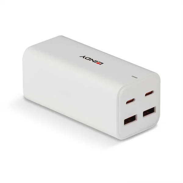 Lindy 100W 4PORT USB Desktop GaN Fast Char