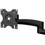 StarTech.com Dual Monitor Mount with Art