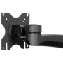 StarTech.com Dual Monitor Mount with Art