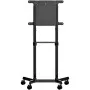 StarTech.com Mobile TV Cart for 37-70 Tvs