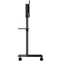 StarTech.com Mobile TV Cart for 37-70 Tvs