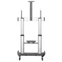 StarTech.com Mobile TV Stand StarTech.com Mobile TV Stand
